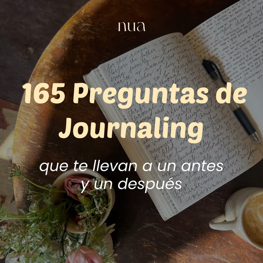165 Preguntas de Journaling (11 temas)